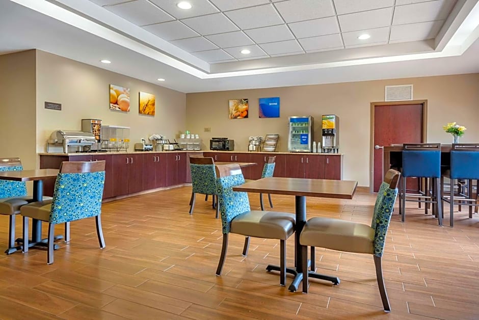 Comfort Inn & Suites Farmington - Victor