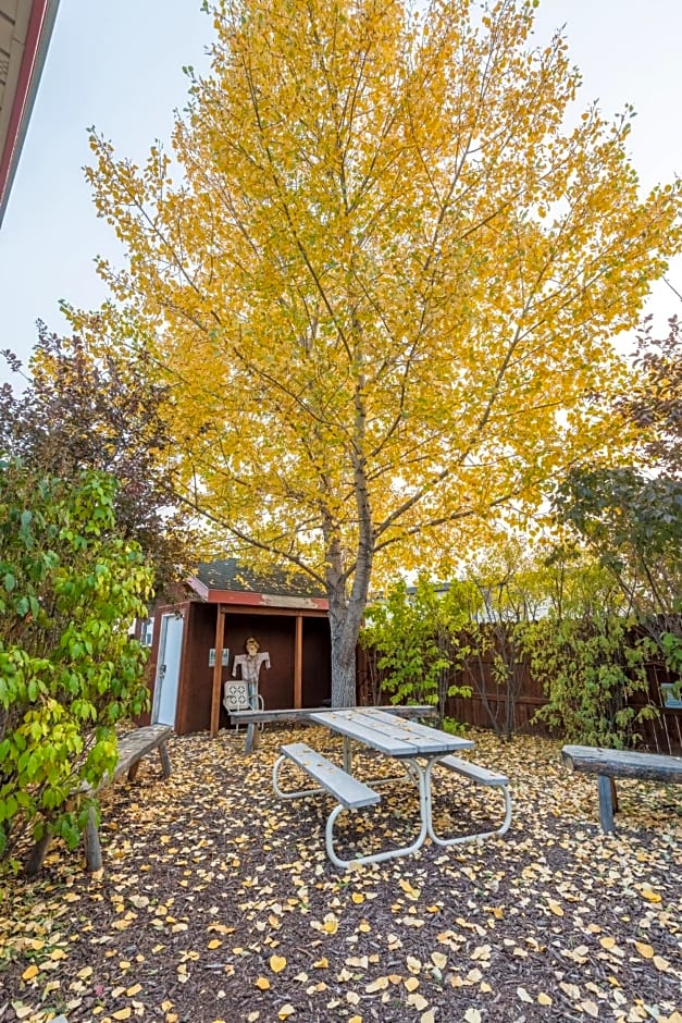 Pinedale Cozy Cabins