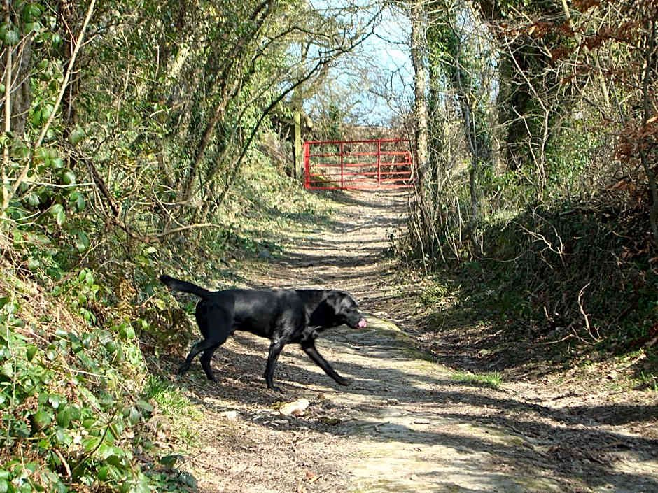Troedyrhiw Bed & Breakfast
