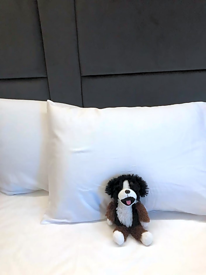 O&O Hotel Oberursel Zentrum