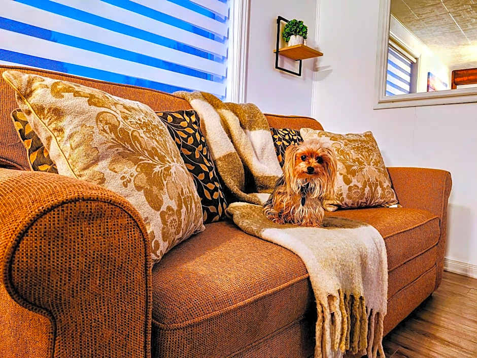 Family chalet - spa - in Tremblant village