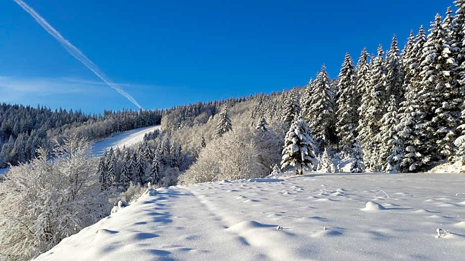 Gut Lilienfein - Gesundheitsoase mit Naturheilzentrum