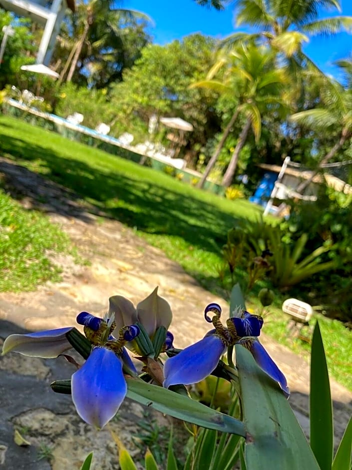 Pousada Velas E Vento