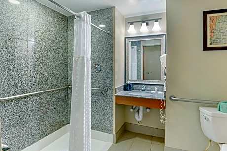 1 King Bed, Suite, Nonsmoking, Accessible