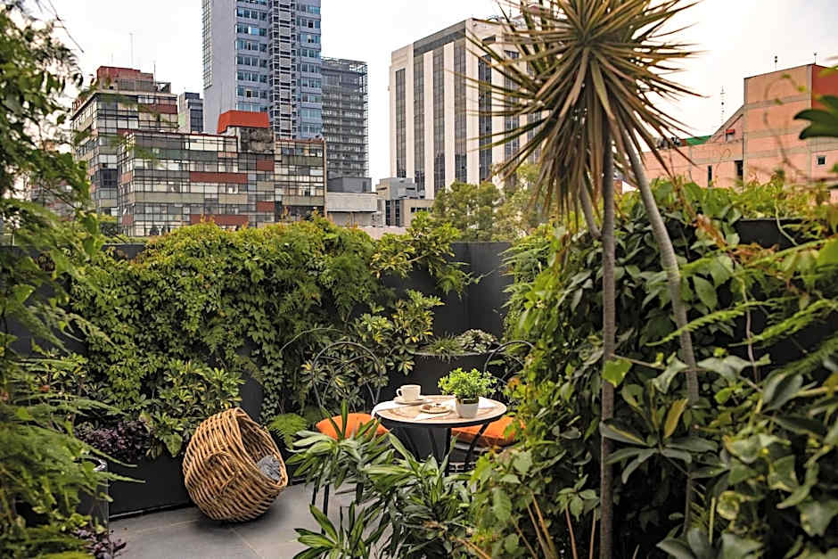 Reforma Guest House