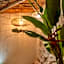 Brandnew tropical 3BR Villa with pool in Seminyak