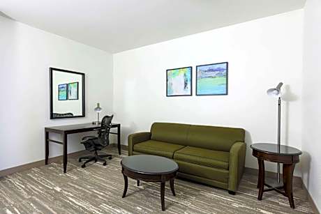 1 King Bed 1 Bedroom  Suite