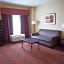 Hampton Inn By Hilton Rochester-Webster