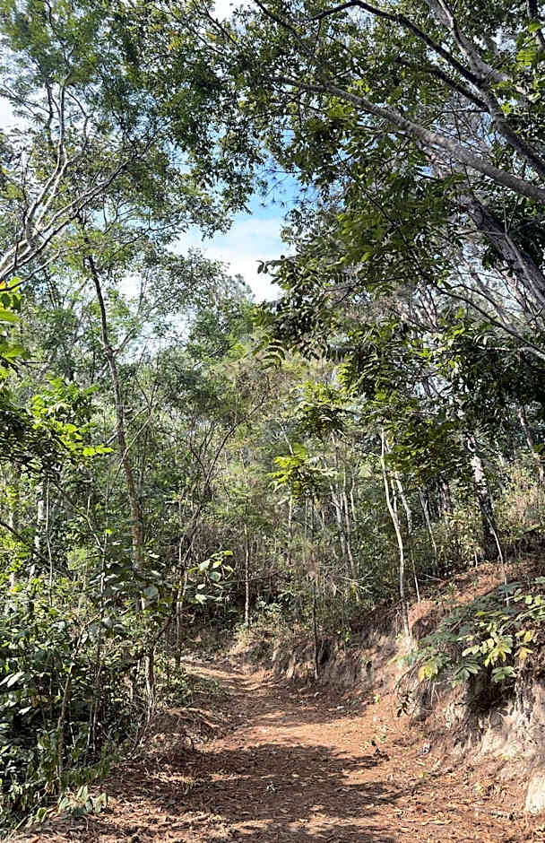 Guararema Parque Hotel