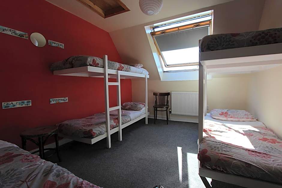 Foto 1 dari 4 — Bunk Bed in Mixed Dormitory Room