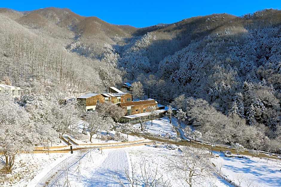 Healience Village
