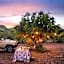 Lush Private Game Lodge