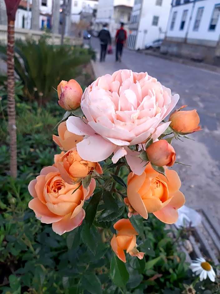 Casa Espetacular no Centro de Diamantina