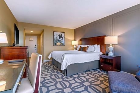 Preferred Premier Room 1 King Bed