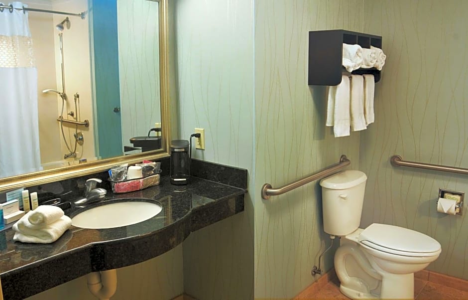 Hampton Inn Gadsden/Attalla Interstate 59