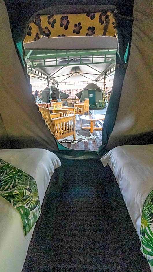 The Tree Top Village Urban Glamping