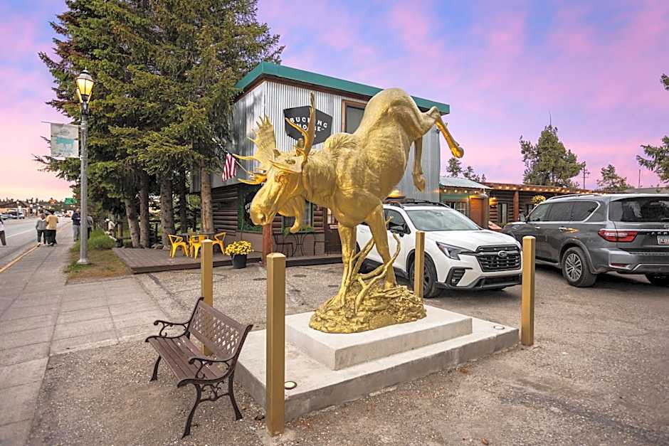 The Bucking Moose