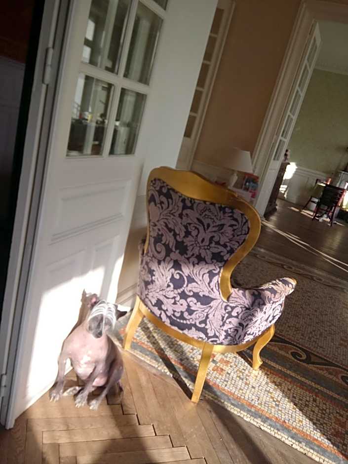 Le Belvedere des Remparts