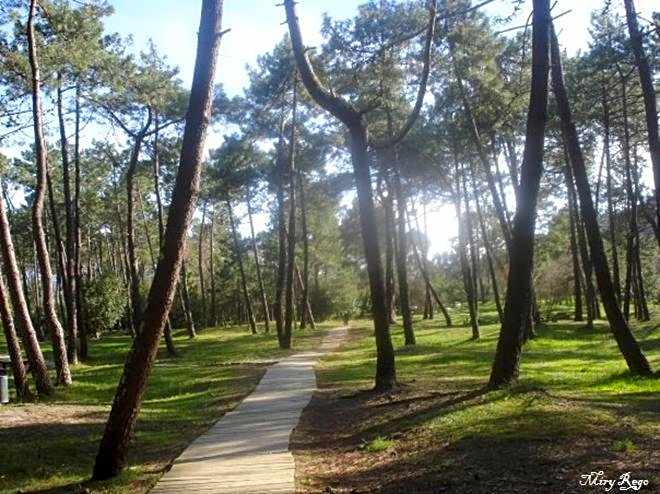 Hotel Viento del Norte