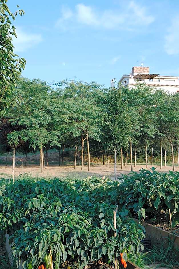 Hotel Rural Mas de l'Illa