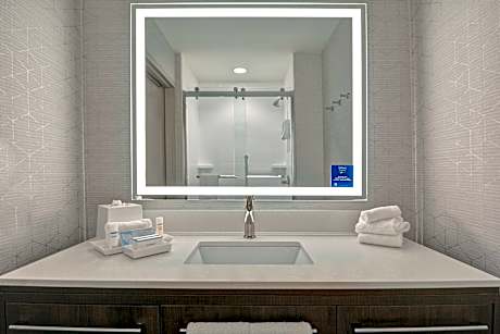 1 King Bed Studio Suite Nonsmoking