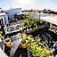Riad THALGE