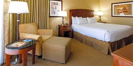 Premium King Room