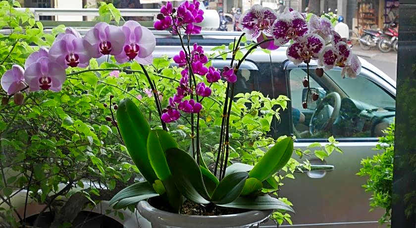 Hau Giang Hotel Can Tho