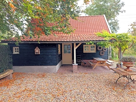 Studio Blue Beech