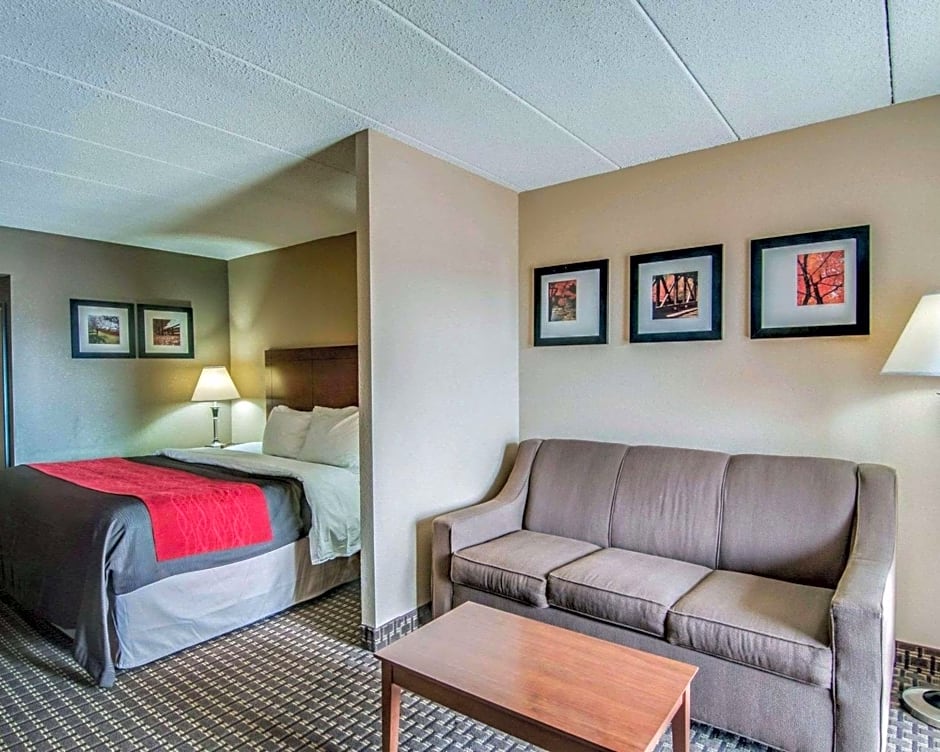 Comfort Inn & Suites Raphine - Lexington near I-81 and I-64