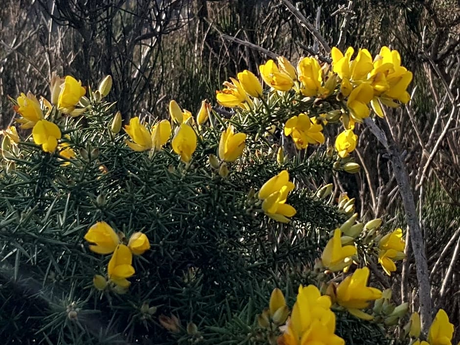 La Minoterie - Studio avec kitchenette et Chambre d'hôtes