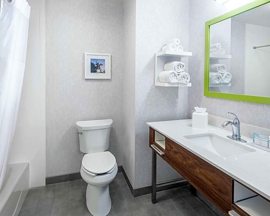 Hampton Inn By Hilton & Suites Lubbock Southwest