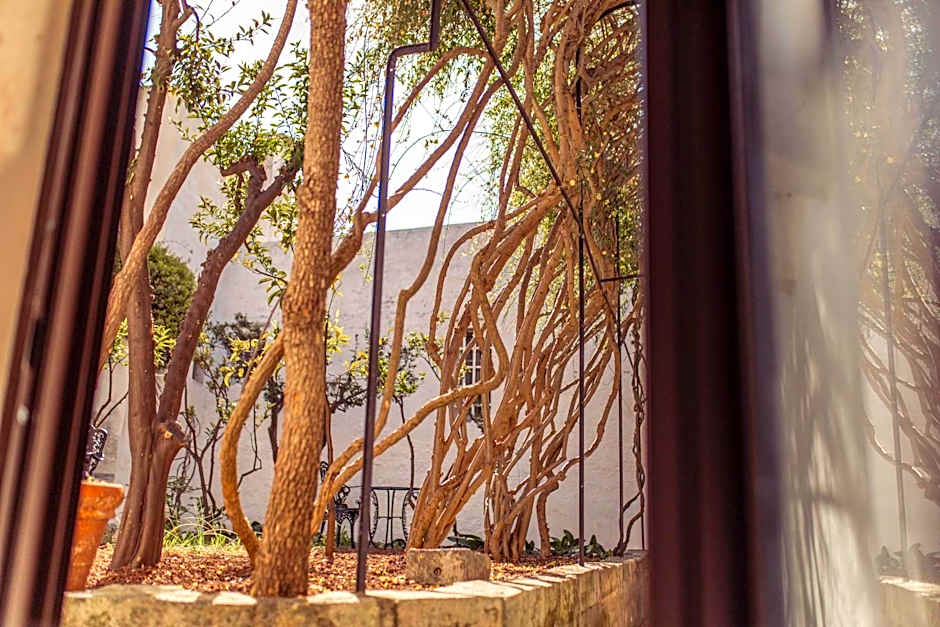 Il Sogno delle Benedettine