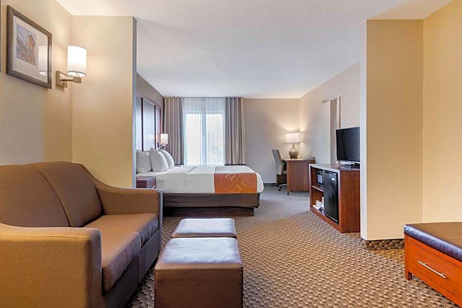 Comfort Suites South Haven Near I-96