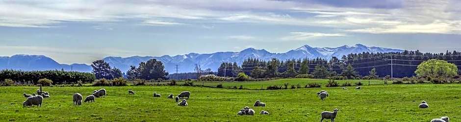 Gem bed and breakfast