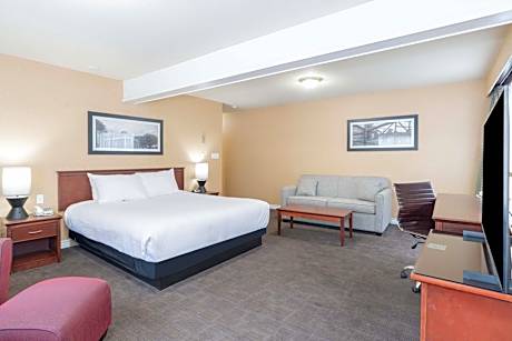 Standard Room, 1 King Bed, Sofa Bed