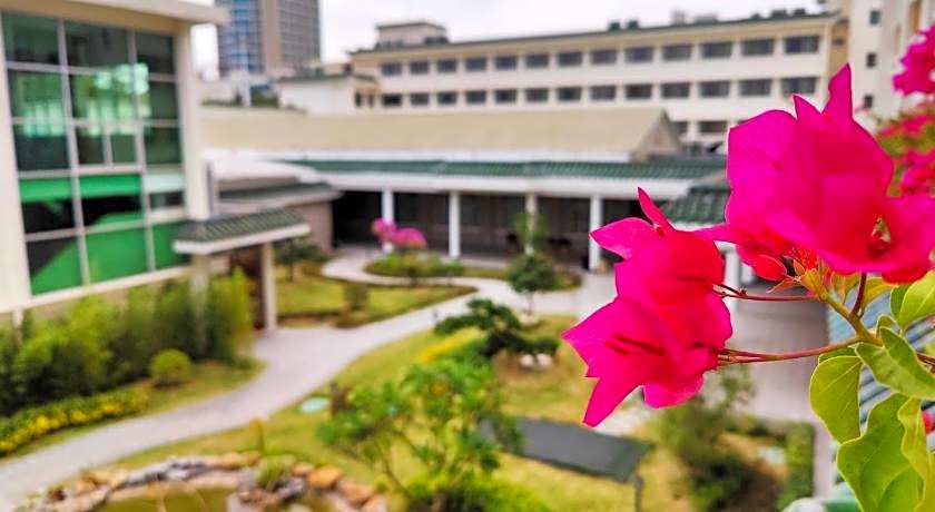 WHITE SWAN GUEST HOUSE