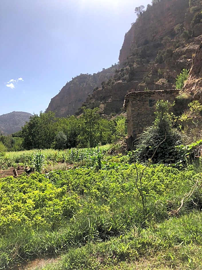 Gite Ifoulou Tassaout