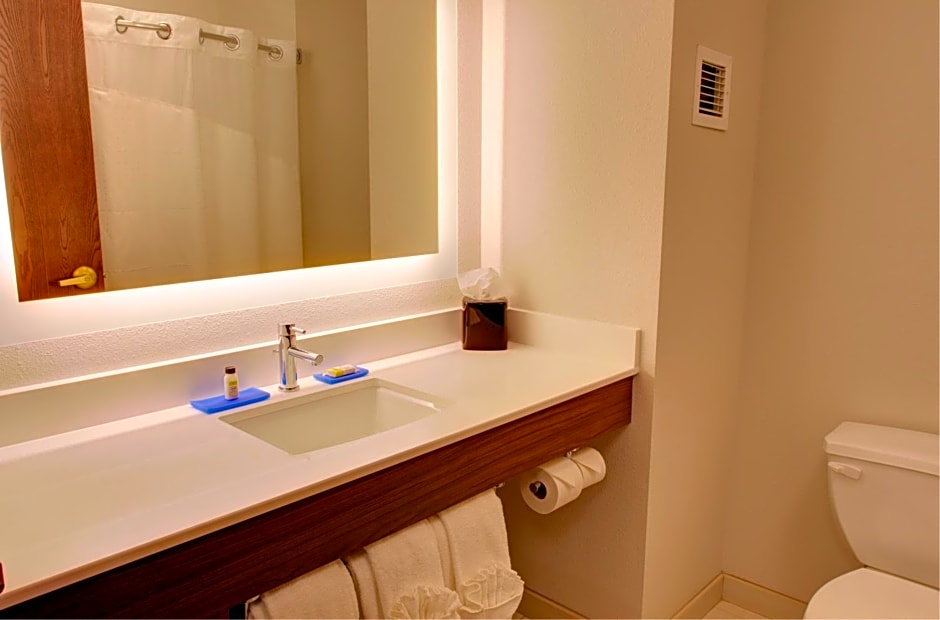 Holiday Inn Express Hotel & Suites Le Mars By IHG