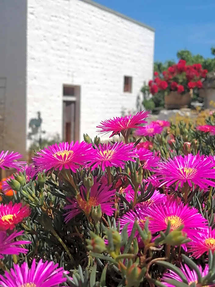 Trulli la casa di Rosa
