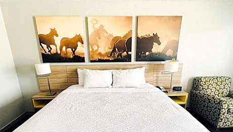 1 King Bed Non-Smoking