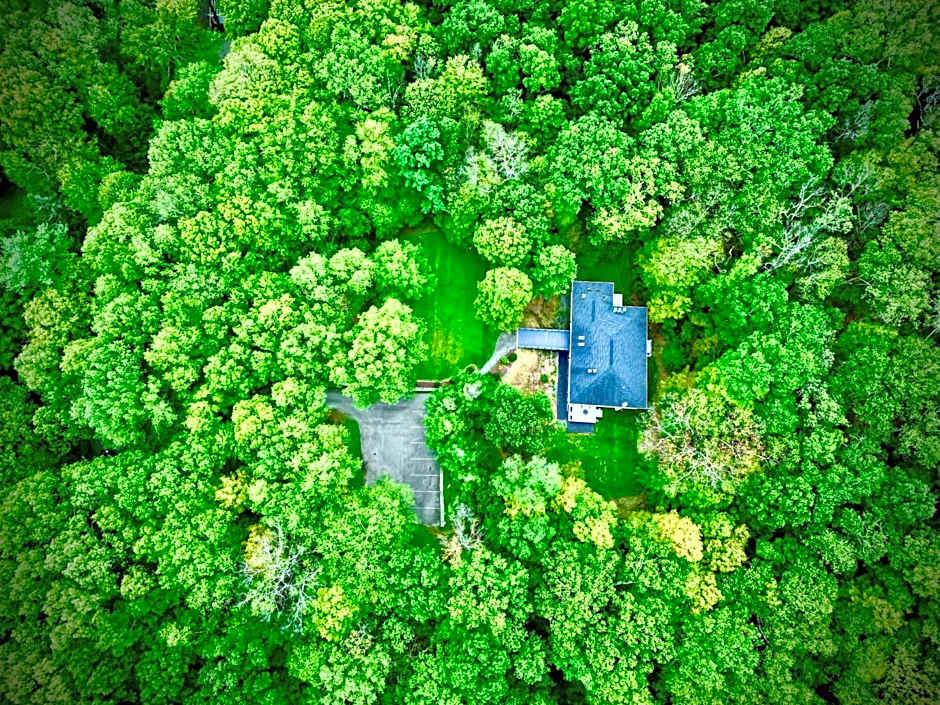 The Harlow House