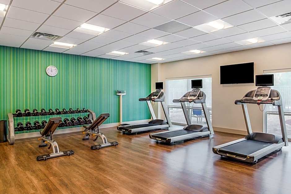 Holiday Inn Express & Suites Tampa North - Wesley Chapel By IHG