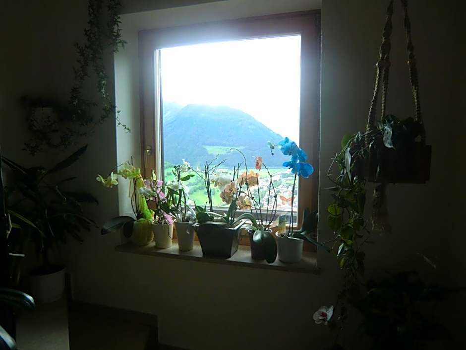 Alpenblick Bed & Breakfast