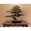 La'gent Stay Hakodate Ekimae - Vacation STAY 88785v