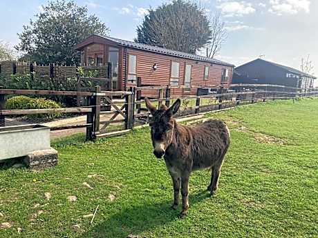 Rew Farm Country and Equestrian Accommodation - Sunset Lodge