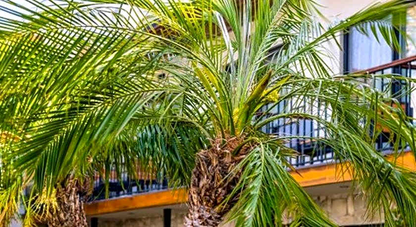 KHAI HOTEL BODRUM