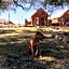 Katie's Cozy Cabins