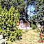 Brin d Ardèche