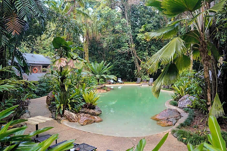 Ferntree Rainforest Lodge